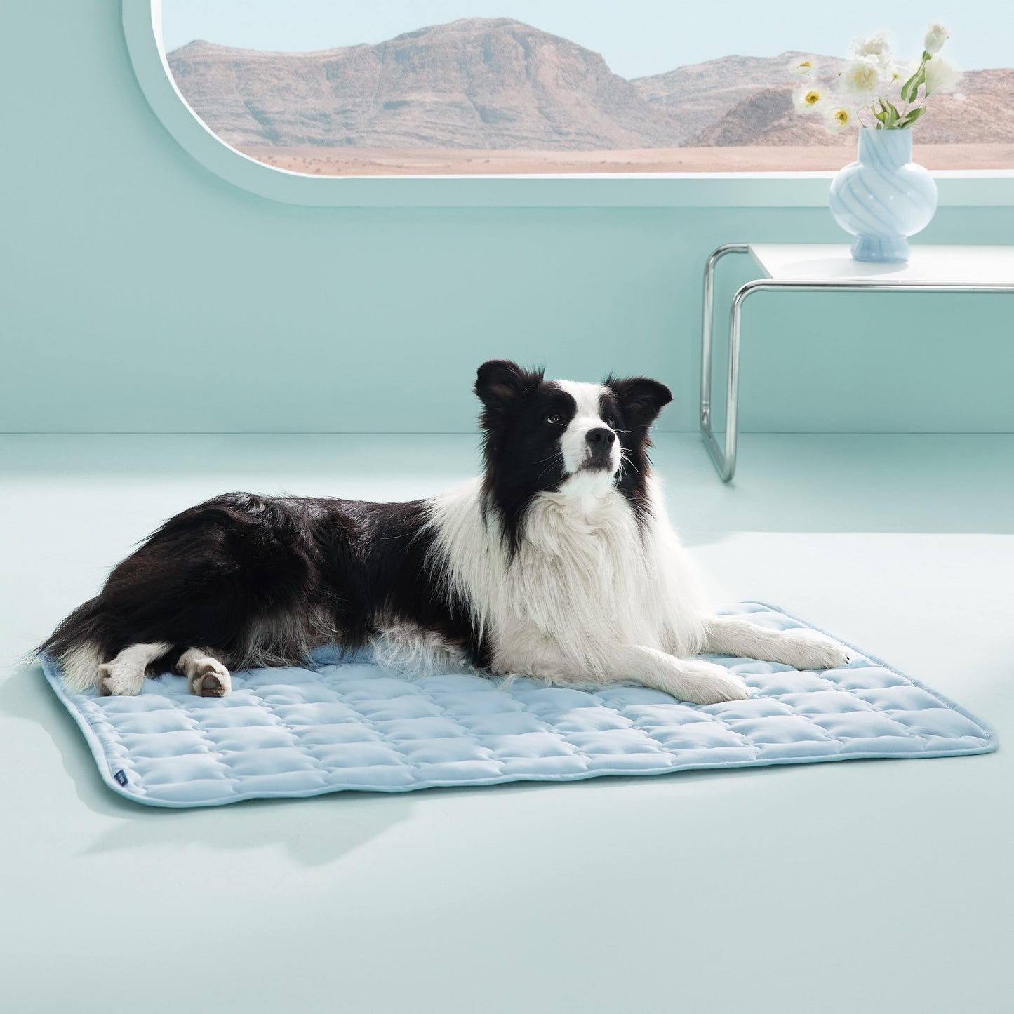 Bedsure Cooling Mat for Large Dogs – 41x28 Thin Washable Cooling Pet Pad for Puppy, QMAX>0.5, XL Portable Kennel Puppy Bed for Summer, Non-Slip Summer Crate Pad for Big Dog Up to 80 lbs