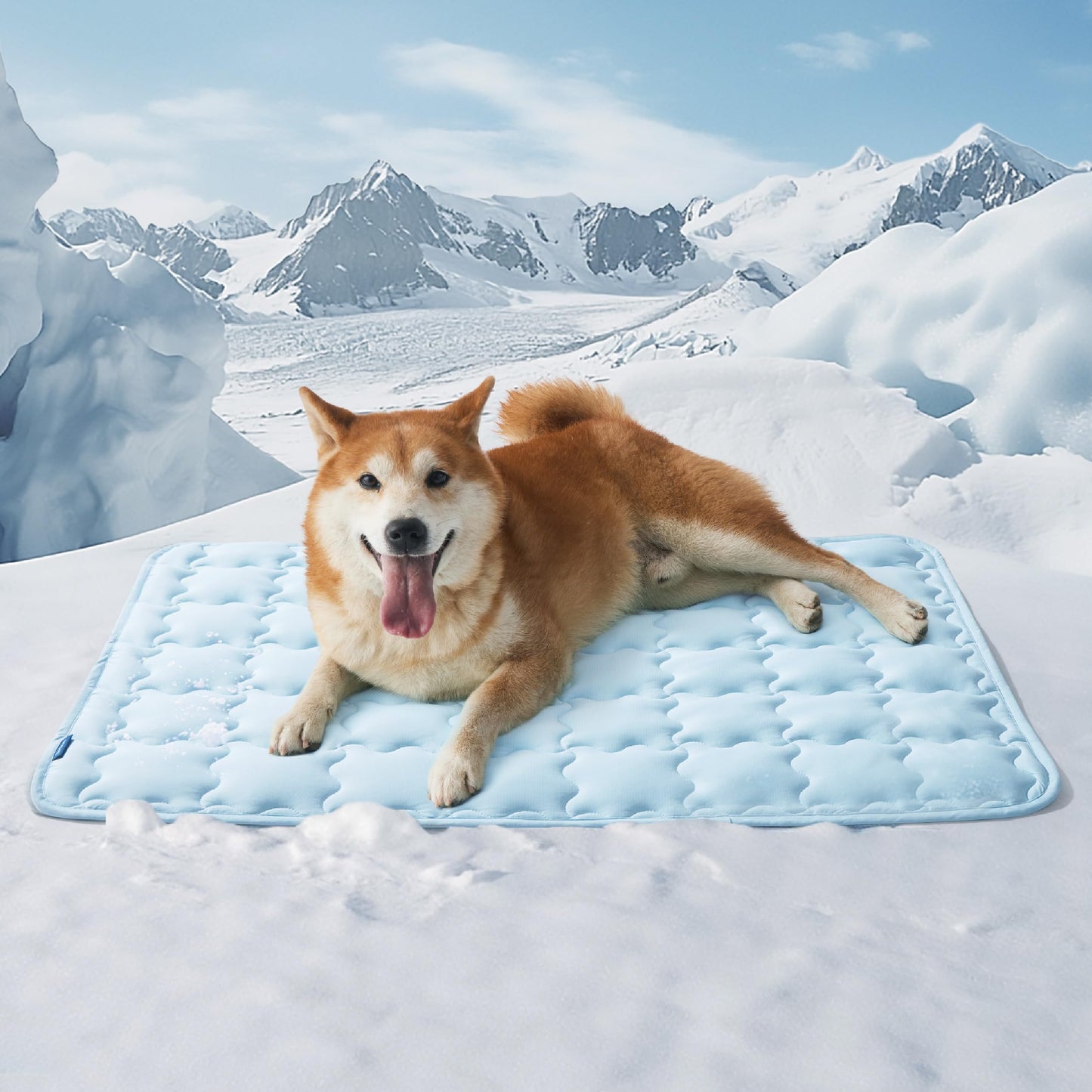 Bedsure Cooling Mat for Large Dogs – 41x28 Thin Washable Cooling Pet Pad for Puppy, QMAX>0.5, XL Portable Kennel Puppy Bed for Summer, Non-Slip Summer Crate Pad for Big Dog Up to 80 lbs