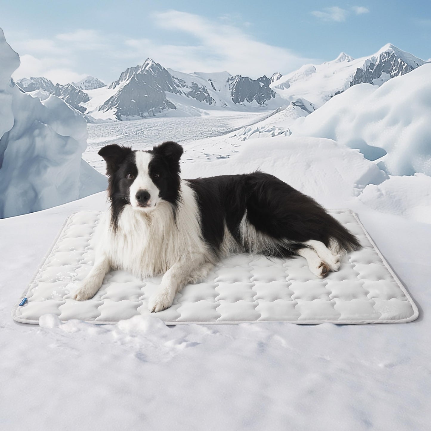 Bedsure Cooling Mat for Large Dogs – 41x28 Thin Washable Cooling Pet Pad for Puppy, QMAX>0.5, XL Portable Kennel Puppy Bed for Summer, Non-Slip Summer Crate Pad for Big Dog Up to 80 lbs