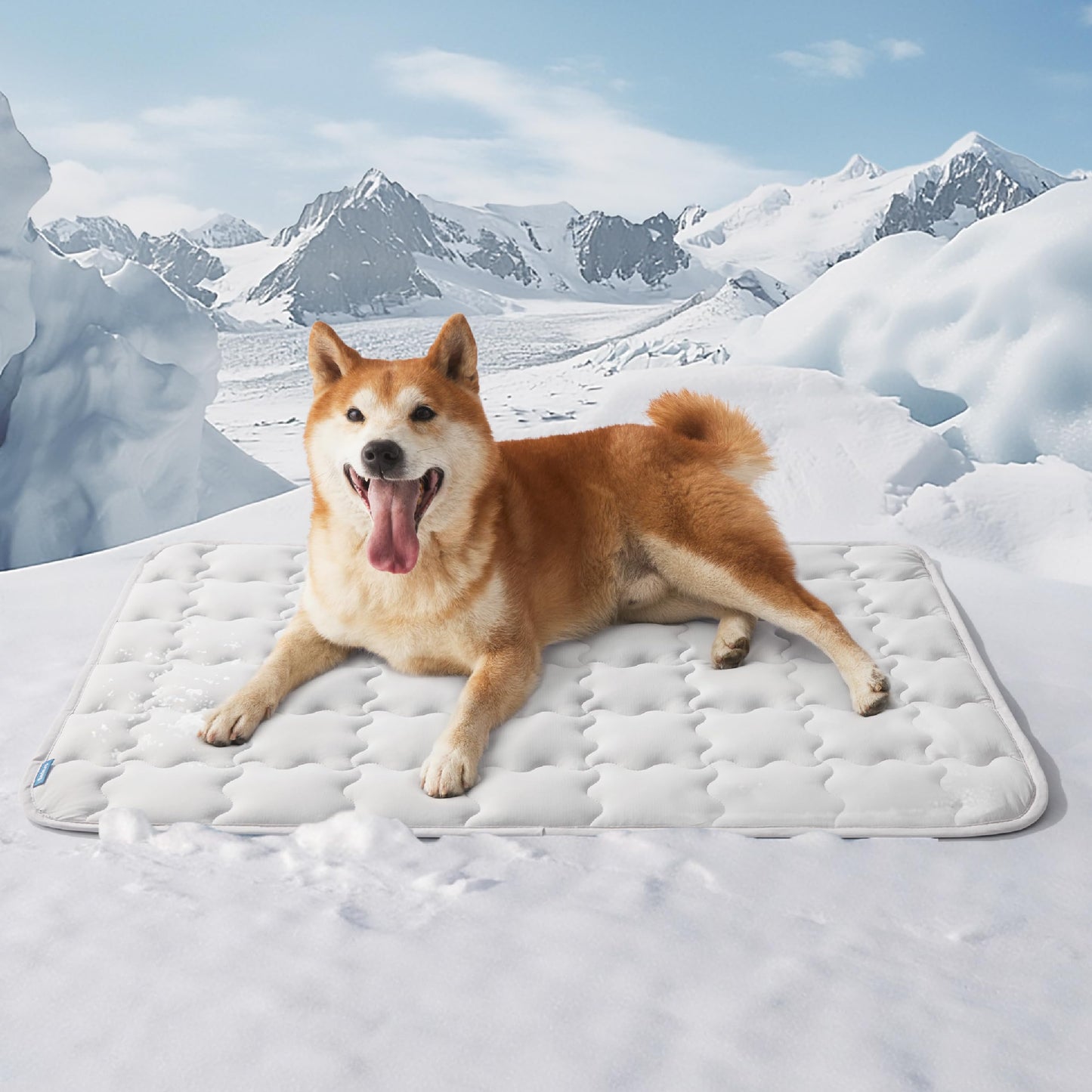 Bedsure Cooling Mat for Large Dogs – 41x28 Thin Washable Cooling Pet Pad for Puppy, QMAX>0.5, XL Portable Kennel Puppy Bed for Summer, Non-Slip Summer Crate Pad for Big Dog Up to 80 lbs