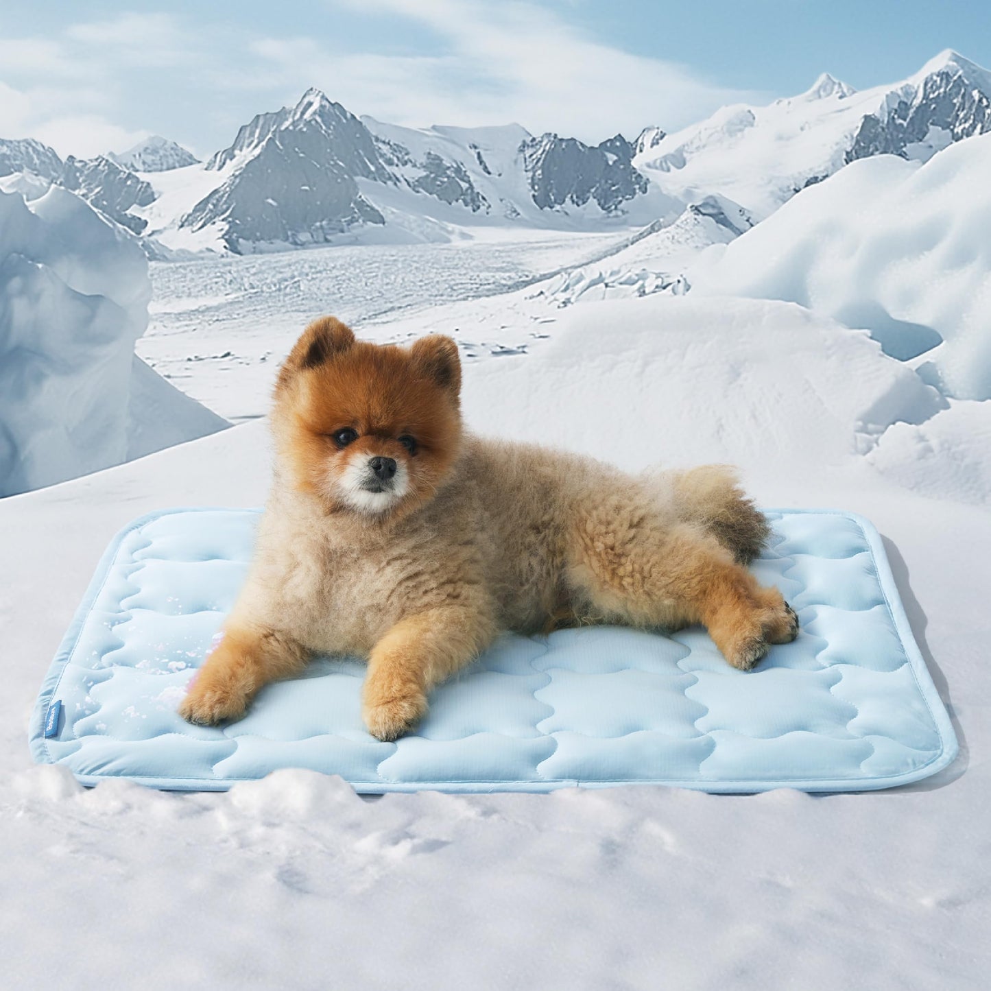 Bedsure Cooling Mat for Large Dogs – 41x28 Thin Washable Cooling Pet Pad for Puppy, QMAX>0.5, XL Portable Kennel Puppy Bed for Summer, Non-Slip Summer Crate Pad for Big Dog Up to 80 lbs