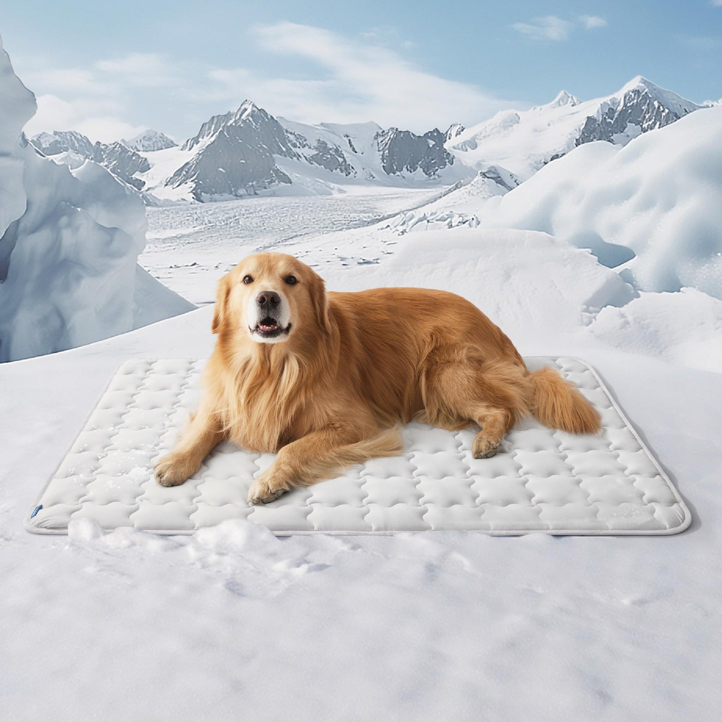 Bedsure Cooling Mat for Large Dogs – 41x28 Thin Washable Cooling Pet Pad for Puppy, QMAX>0.5, XL Portable Kennel Puppy Bed for Summer, Non-Slip Summer Crate Pad for Big Dog Up to 80 lbs