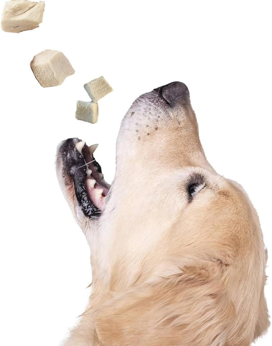 Freeze Dried Dog and Cat Treats Food Topper