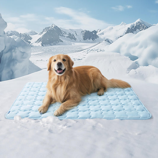 Bedsure Cooling Mat for Large Dogs – 41x28 Thin Washable Cooling Pet Pad for Puppy, QMAX>0.5, XL Portable Kennel Puppy Bed for Summer, Non-Slip Summer Crate Pad for Big Dog Up to 80 lbs