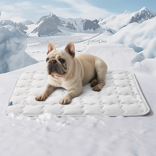 Bedsure Cooling Mat for Large Dogs – 41x28 Thin Washable Cooling Pet Pad for Puppy, QMAX>0.5, XL Portable Kennel Puppy Bed for Summer, Non-Slip Summer Crate Pad for Big Dog Up to 80 lbs